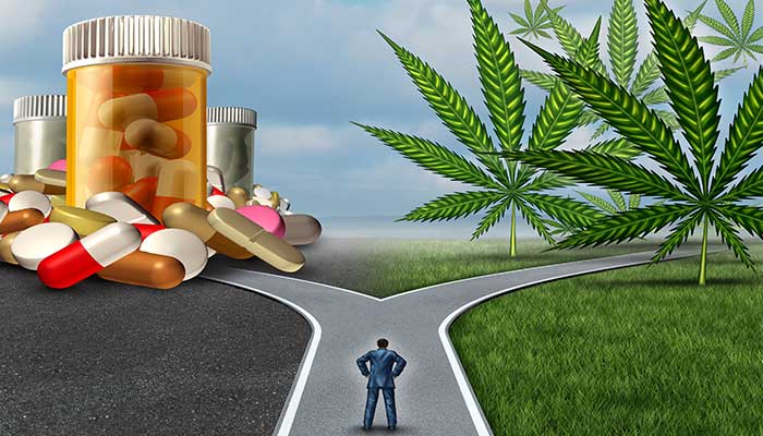 Health-Benefits-of-cannabis.jpg