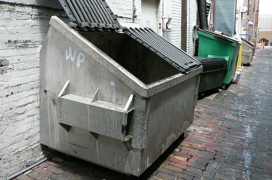C:\Users\DELL\Downloads\dumpster-trash-downtown-outside-open-lid-garbage.jpg